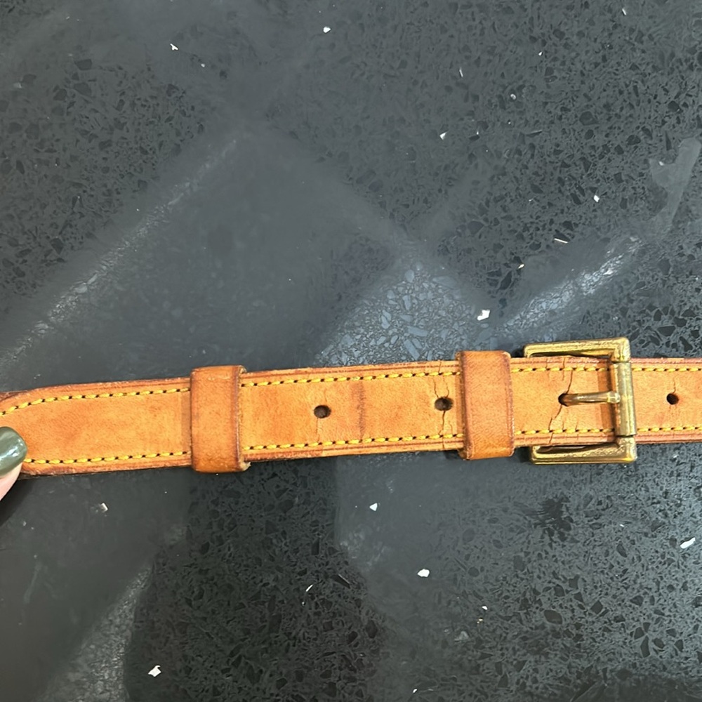 Louis Vuitton RunWay Bag - Picture 9 of 16